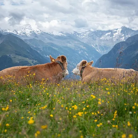 Haus Christophorus Apartamento